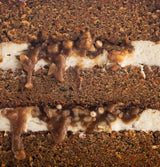 Carrot Caramel Cake / Interior