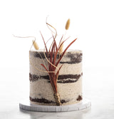 6” Tall Size, Freshly Frosted Decor, Neutrals Color Palette